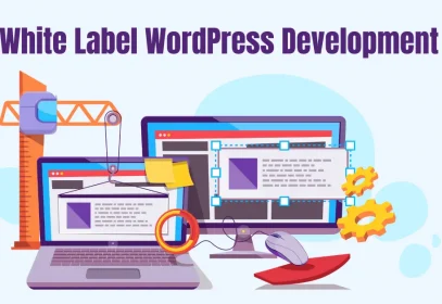 Concept of white label WordPress development services