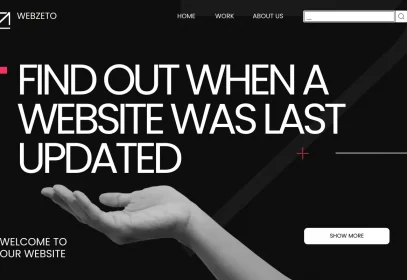 Methods to check when a website was last updated