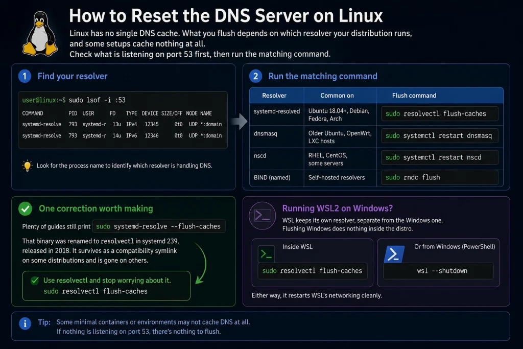 Step-by-step infographic showing how to reset the DNS server cache on Linux by identifying the active DNS resolver and using the correct flush command for systemd-resolved, dnsmasq, nscd, BIND, and WSL2.