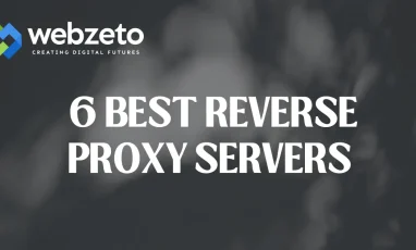 reverse proxy server