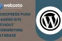 WordPress Push Staging Site