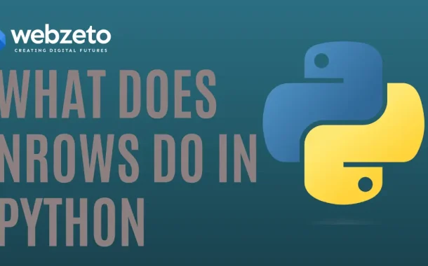 Python logo with What Does Nrows Do in Python