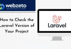 How to check laravel version of your project