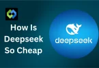 How is Deepseek so cheap