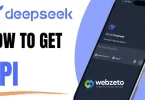 How to Get API of Deepseek