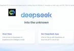 How to install Deepseek R1 locally