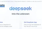 Deepseek starting page after installation