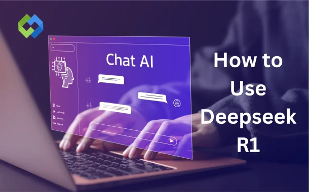 use Deepseek R1 locally