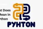 What Does /n Mean in Python