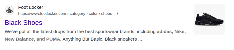Metadata displayed in SERP.