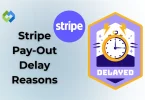 Stripe Pay‑Out Delay Reasons