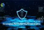 Strategies for Cyber Defense Online