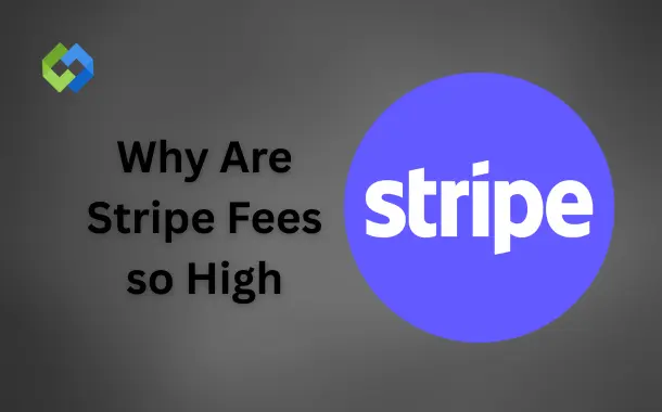 Why Are Stripe Fees so High