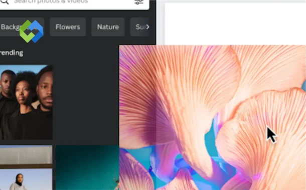 Best 8 Stock Photography Sites for Creators