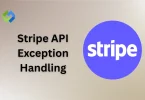 Stripe API Exception Handling
