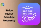 Stripe Payout Schedule Frequency